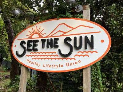 seethesun221010-1.jpg