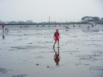 shiohigari2010_07120024.JPGのサムネール画像