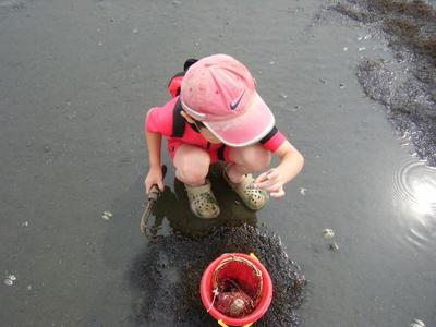 shiohigari2010_07120025.JPGのサムネール画像