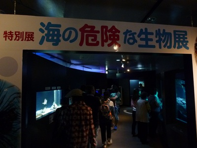 simoda20150506 (16).JPG