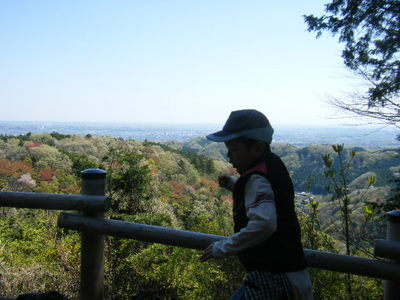 takaosan2013spring (3).JPG