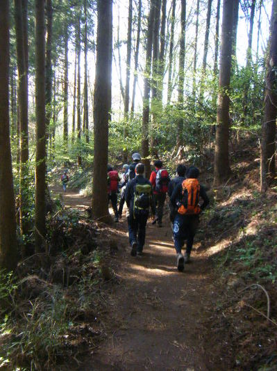 takaosan2013spring (5).JPG