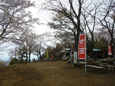 takaosan201404 (13).JPG