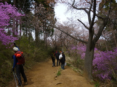takaosan201404 (5).JPG