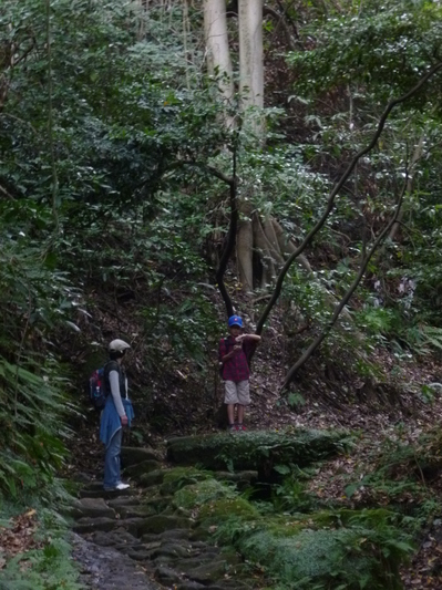 takatoriyama2014 (12).JPG