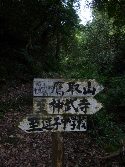 takatoriyama2014 (3).JPG
