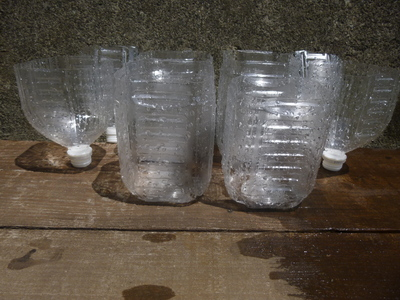 tanemaki140504 (2).JPG