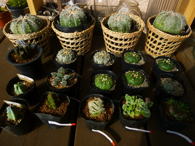 taniku201401 (2).JPG