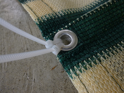 tarp2014 (2).JPG