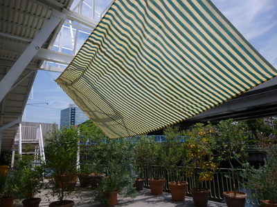 tarp2014 (4).JPG