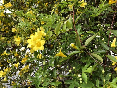 thumbnail_IMG_1821.jpg