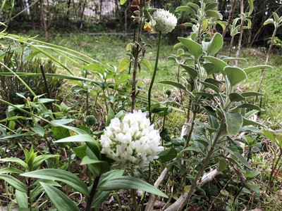 thumbnail_IMG_1828.jpg