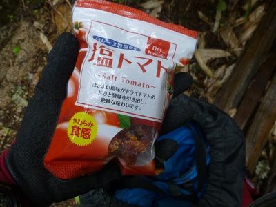 tsubakuro2016 (10).JPG