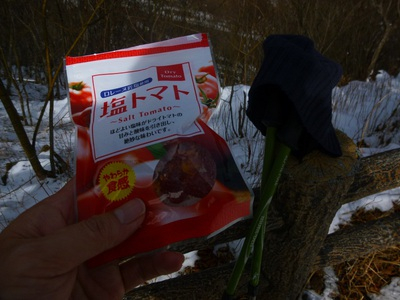 unryu201502 (9).JPG