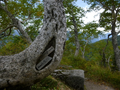 uraginzajusou2014-1 (26).JPG
