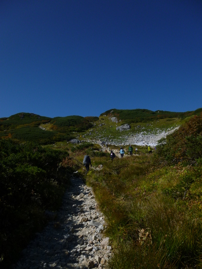 uraginzajusou2014-3 (15).JPG
