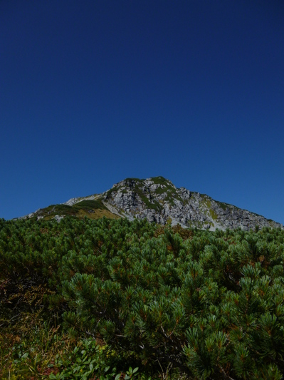 uraginzajusou2014-3 (18).JPG