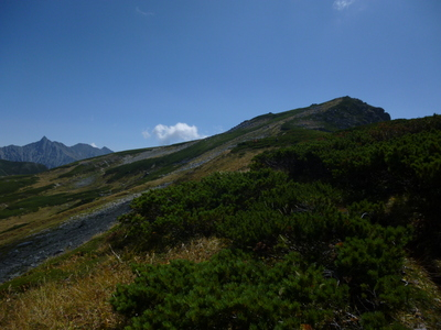 uraginzajusou2014-3 (28).JPG