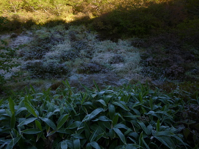 uraginzajusou2014-4 (12).JPG