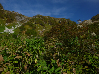 uraginzajusou2014-4 (15).JPG