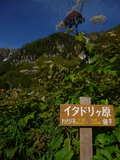 uraginzajusou2014-4 (16).JPG