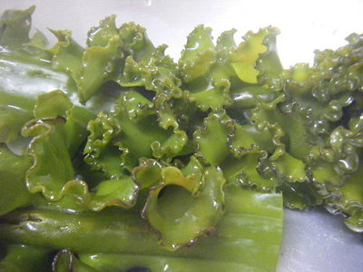 wakame2012-2.JPG