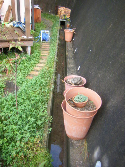 watariroka-2.JPG