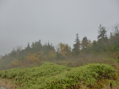 yarigatake2013vol1 (9).JPG