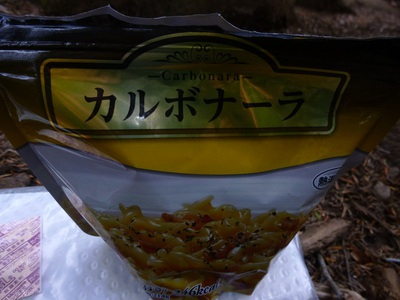 yatsugatake2015-day1 (13).JPG