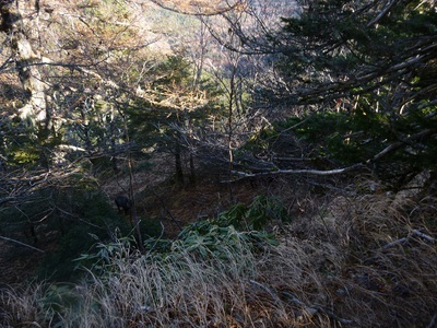 yatsugatake2015-day1 (22).JPG