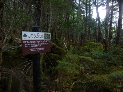 yatsugatake2015day2 (56).JPG