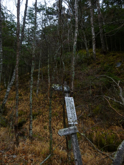 yatugatake 2014kitazawa .JPG