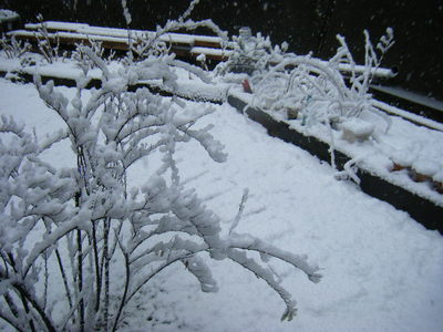 yuki2012-2.JPG