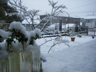 yuki2012-3.JPG