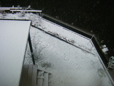 yuki2012-4.JPG
