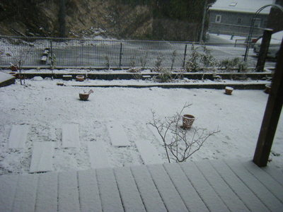 yuki2012-5.JPG