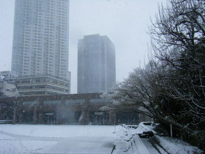 yuki2012-7.JPG