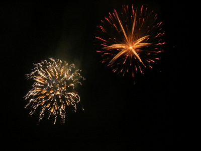 zusihanabi2012-2.JPG