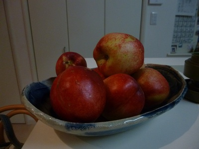 risu&nectarine2015 (8).JPG